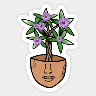 Surreal Money Tree with Purple Daisys, in a Pot Head Planter Sticker